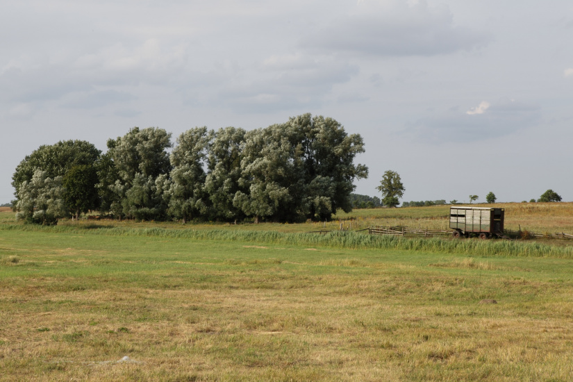 Zoom in Rügen, Germany