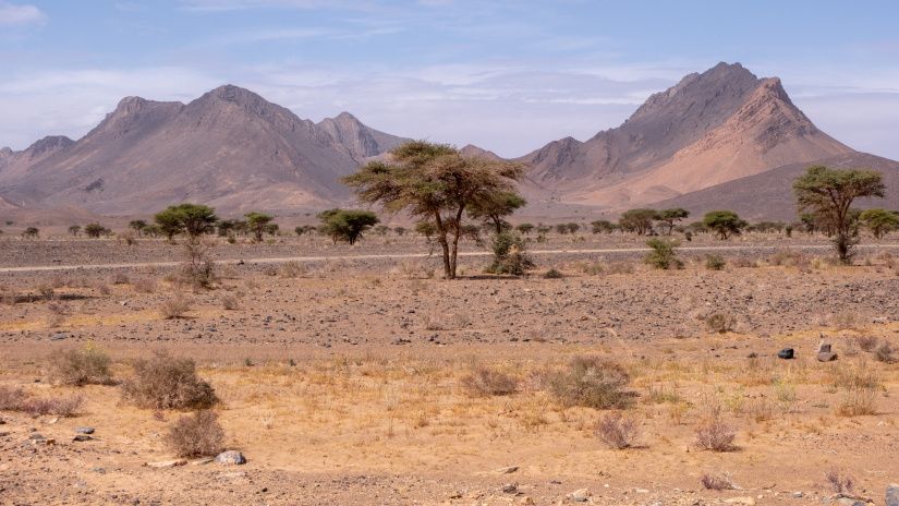 Looks like Africa