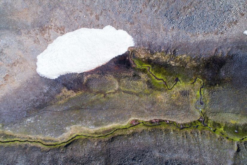 Snow, grass, stones and water.